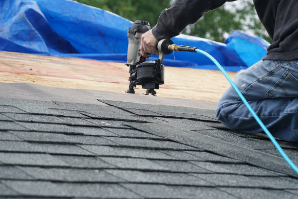 Best Roof Replacement Cost  in Michigan City, IN